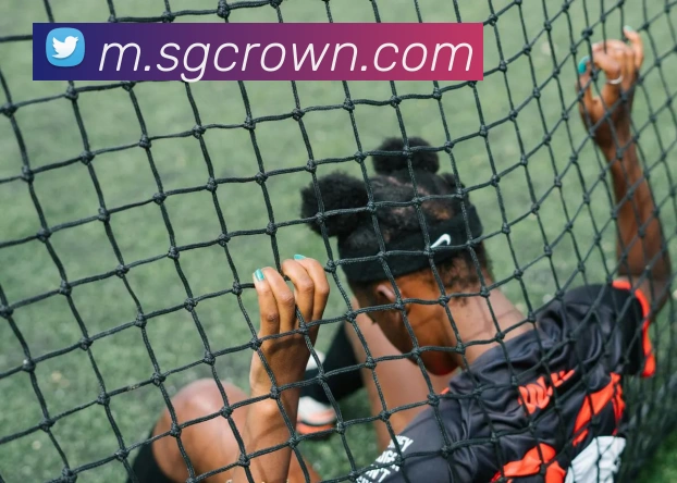 皇冠crown体育平台品牌故事