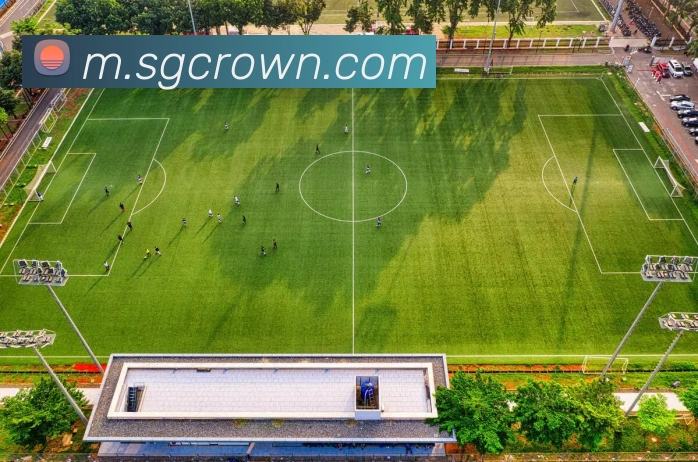 皇冠crown体育平台服务体系